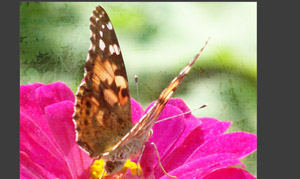 Using ScrapSimple Paper Templates to Create Texture on Photos Tutorial screen shot 3