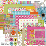 Project Memories Collection Biggie