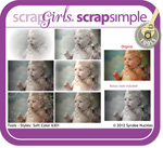 ScrapSimple Tools - Styles: Soft Color 6301