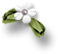 white flower
