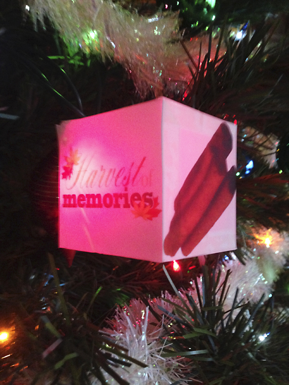 holiday photo cube lights