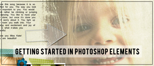 Getting Started in Photoshop Elements