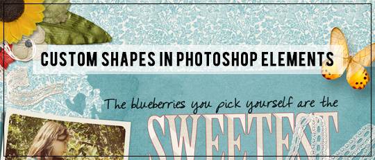 Custom Shapes in Photoshop Elements