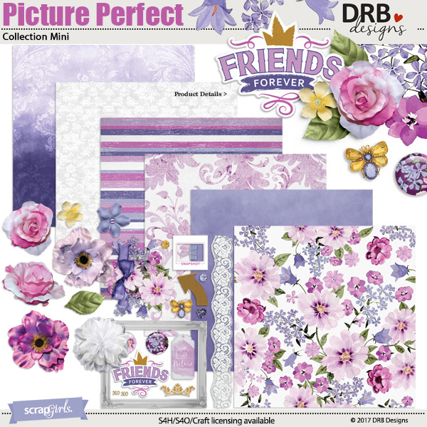 Picture perfect digital kit