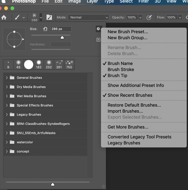 Creating a New Brush Group in PS